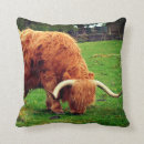 Search for highland cow cushions Animals