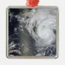 Search for baja christmas tree decorations Satellite view