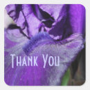 Search for purple iris flower stickers Nature