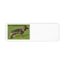 Search for breeds return address labels Pets