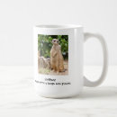 Search for meerkats mugs Mongoose