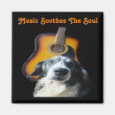 Search for guitars magnets Instruments