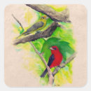 Search for scarlet stickers Birds