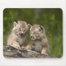 Search for friendship mousepads Outdoors