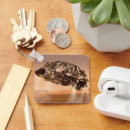 Search for land rover key rings Mars