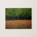 Search for tulip puzzles Farm