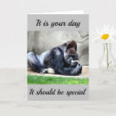 Search for you are special birthday cards Photography