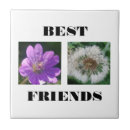 Search for tiled image template Cute