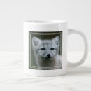 Search for arctic mugs Cute