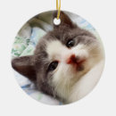 Search for grey and white cat christmas tree decorations Kitty