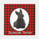 Search for scottish magnets Terrier