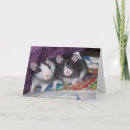 Search for rat cards Cute