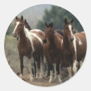 Search for mustang horse stickers Wild