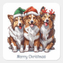 Search for shetland sheepdog stickers Herding dog