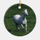 Search for thoroughbred horse christmas tree decorations Grass