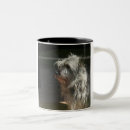 Search for cairns mugs Terrier
