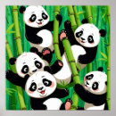 Search for bamboo posters Cute