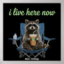 Search for racoons posters Humour