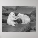 Search for ursus art Bears