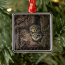 Search for birds nest christmas tree decorations Forest