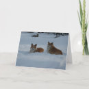 Search for welsh corgi pembroke postcards Animals