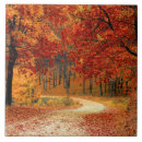 Search for autumn tiles Fall