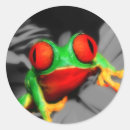 Search for big eye stickers Frog