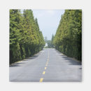 Search for road magnets Blue