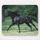Search for thoroughbred mousepads Running