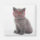 Search for eyeglasses magnets Cat