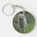 Search for coated retriever key rings Flat coated golden