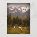 Search for country countryside postcards Mountains