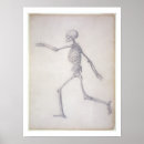 Search for human skeleton posters George
