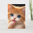 Search for licking cards Cat
