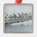 Search for wind christmas tree decorations Colour image