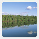 Search for amazon stickers Rainforest