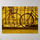 Search for bicycle photography Street