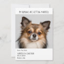 Search for my humans are getting married Simple