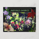 Search for berries postcards Forest