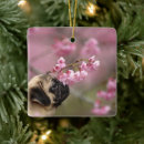 Search for cherry blossom christmas accents Cute