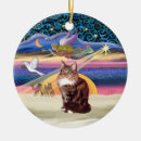 Search for maine coon cat christmas tree decorations Cats