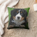 Search for canine photography Photos