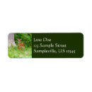 Search for fawn return address labels Forest