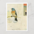 Search for flight feather postcards Wings