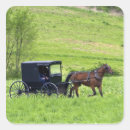 Search for amish stickers Buggy