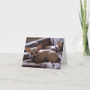 Search for waking up cards Dog
