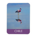 Search for pedro magnets Atacama