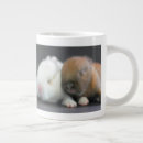 Search for netherland mugs Rabbit