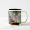 Search for thoroughbred horse mugs Animal