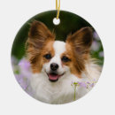 Search for papillon christmas tree decorations Cute
